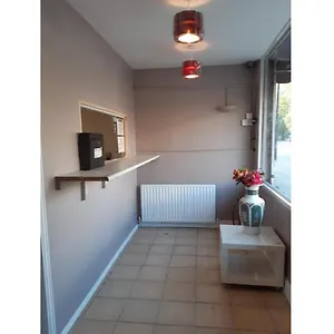 book here